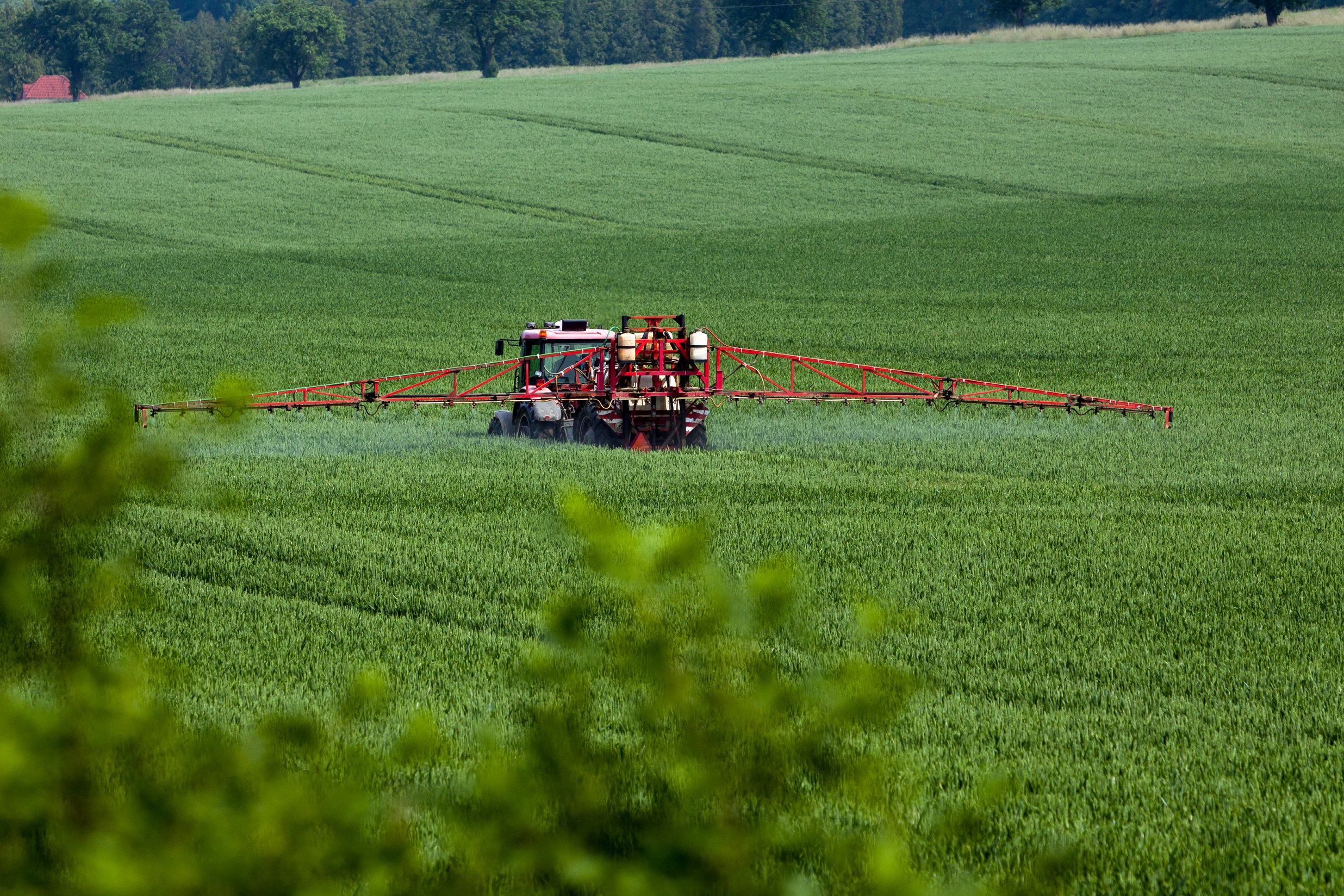 En traktor kører over en mark og sprøjter med pesticider.