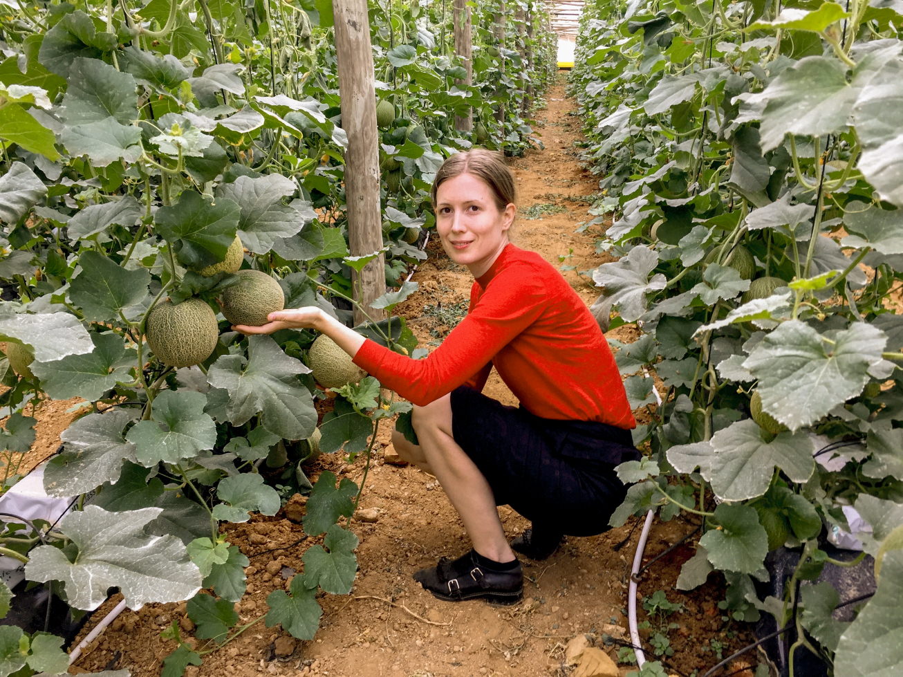 Mathilde Jakobsen i drivhus med modne meloner