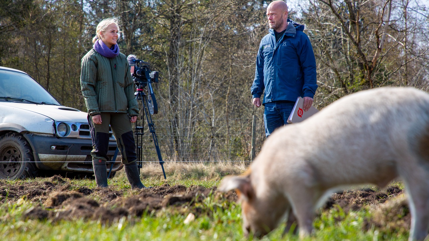 Stella Lund står på marken med Jens Peter Hermansen - en gris går i forgrunden