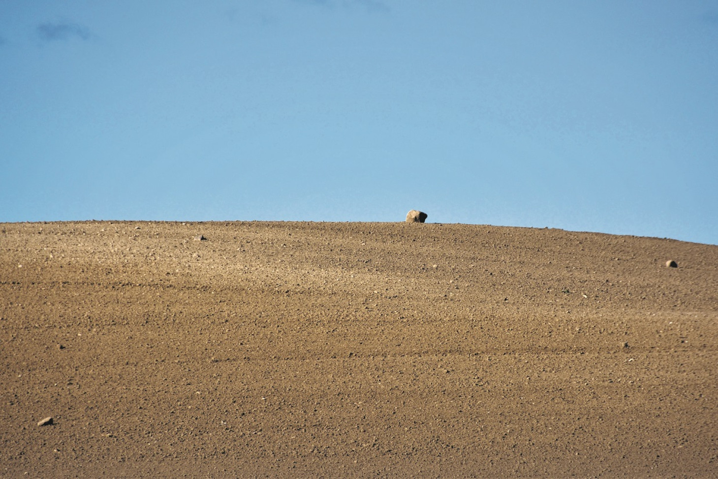 Billede af en ørken