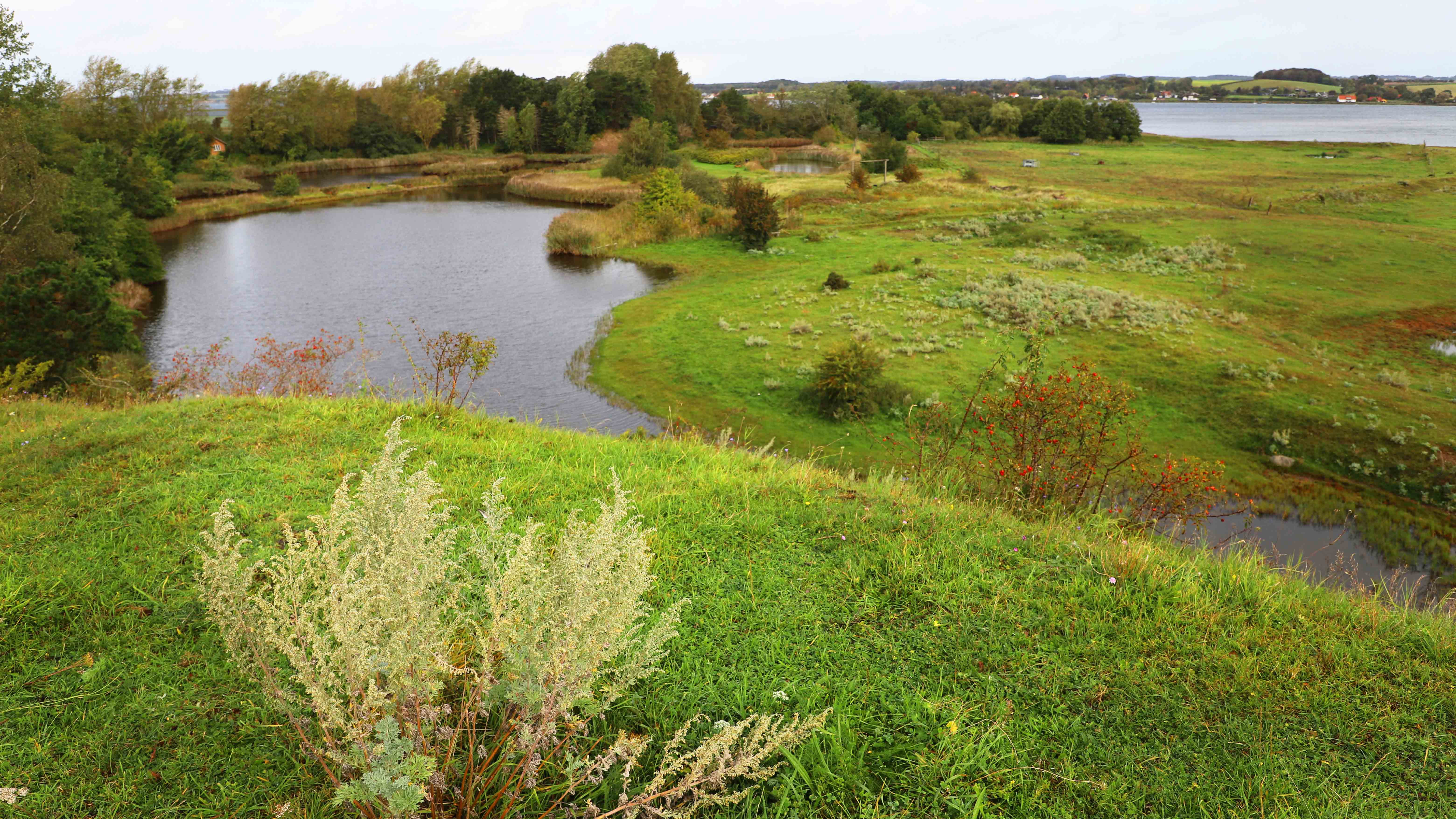 En gammel grusgrav ved Agernæs er en del af landskabet, som er med til at give gode vilkår for biodiversiteten