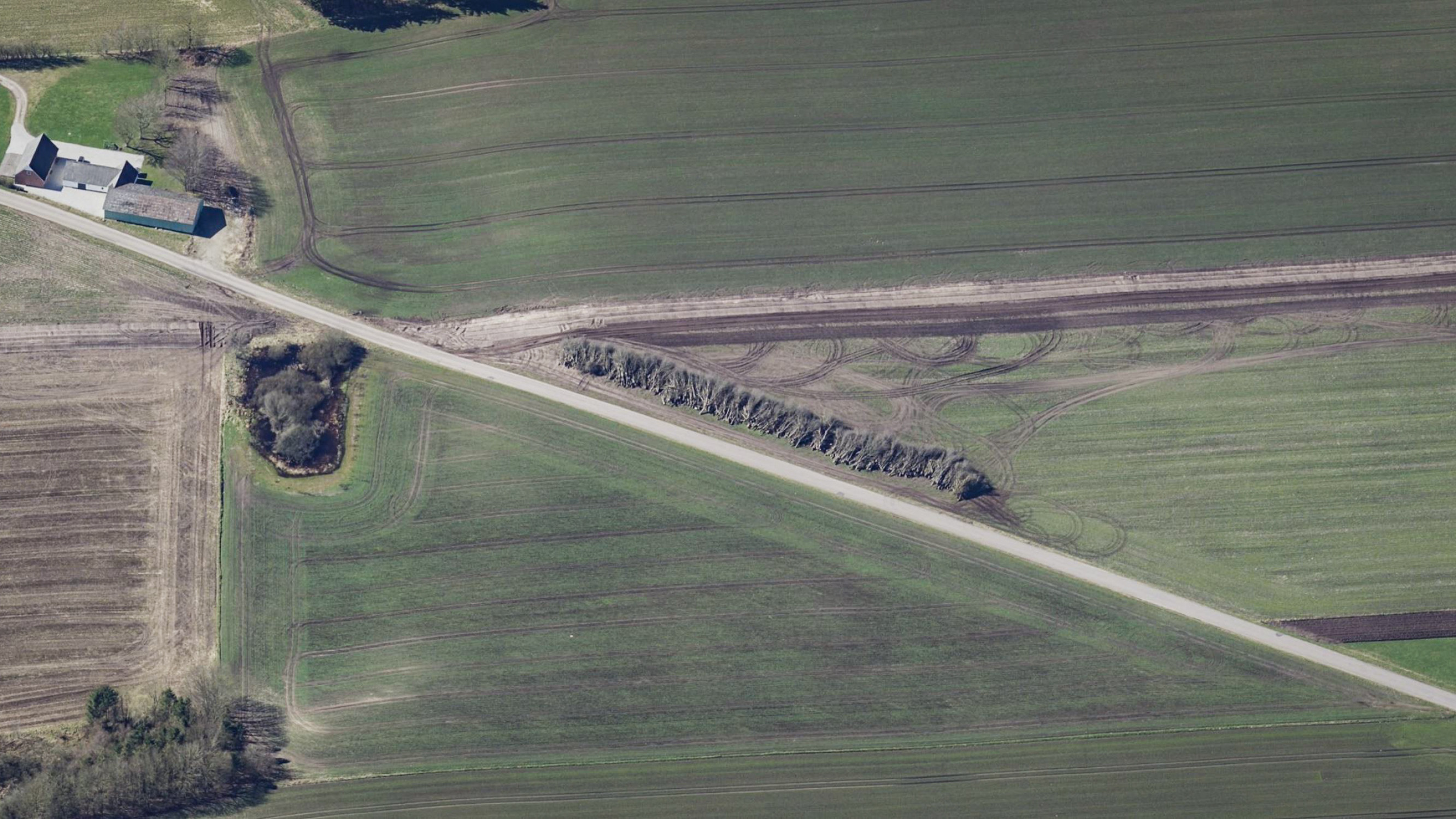 Denne mark ved Kvorning øst for Viborg blev større i 2023, da landmanden valgte at fjerne læhegnene. Men dermed mistede en række arter også deres opholdssted i agerlandet