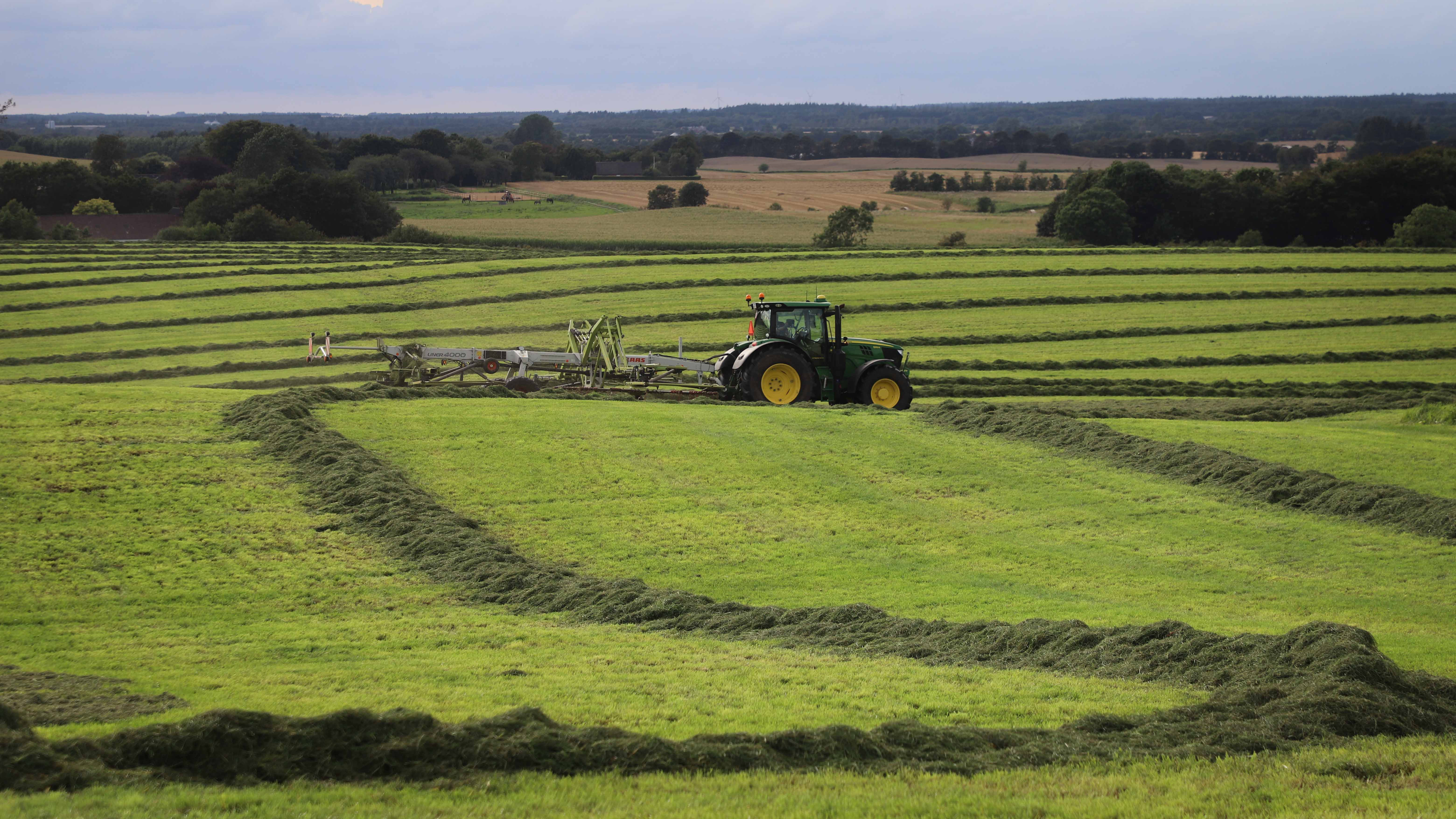 En traktor er ved at høste en græsmark